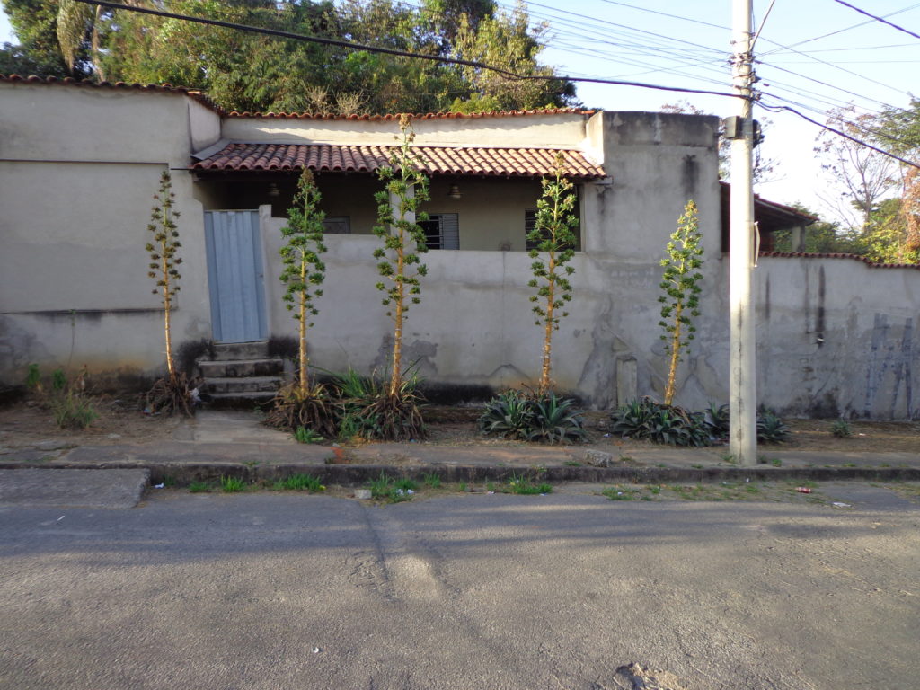 imovel_ ALUGA_ Casa_ Eldorado_ Contagem_ 4775_ 1